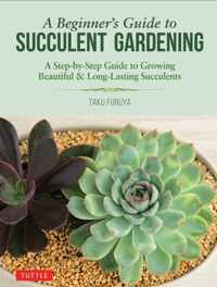 A Beginner&apos;s Guide to Succulent Gardening