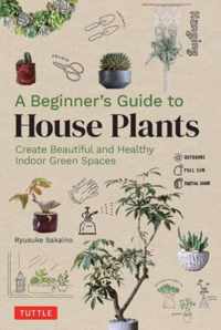 A Beginner&apos;s Guide to House Plants