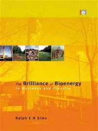 The Brilliance of Bioenergy