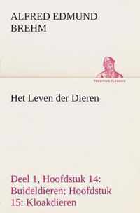 Het Leven der Dieren Deel 1, Hoofdstuk 14: Buideldieren; Hoofdstuk 15