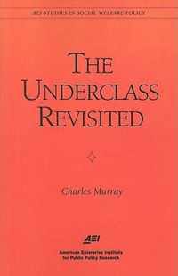 The Underclass Revisited
