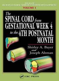 The Spinal Cord from Gestational Week 4 to the 4th Postnatal Month