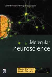 Molecular Neuroscience