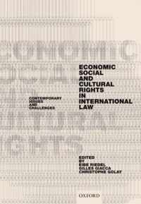 Economic, Social, and Cultural Rights