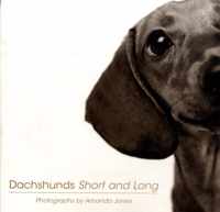 Dachshunds Short and Long