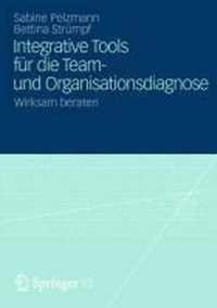 Integrative Tools F r Die Team- Und Organisationsdiagnose
