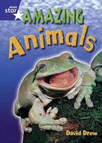 Star Shared 1, Amazing Animals  Big Book