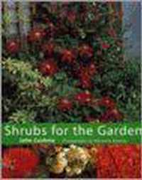 Shrubs For The Garden