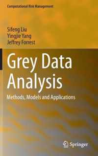 Grey Data Analysis