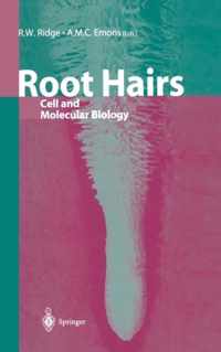 Root Hairs