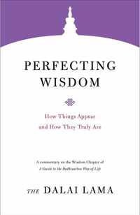 Perfecting Wisdom