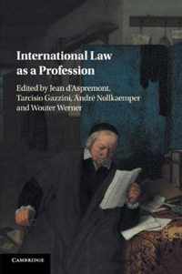 International Law as a Profession