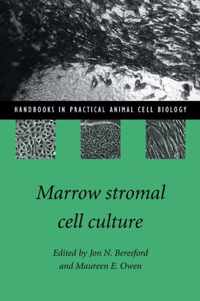 Marrow Stromal Cell Culture