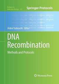 DNA Recombination