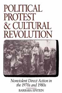 Political Protest and Cultural Revolution