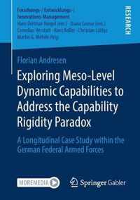 Exploring Meso-Level Dynamic Capabilities to Address the Capability Rigidity Paradox