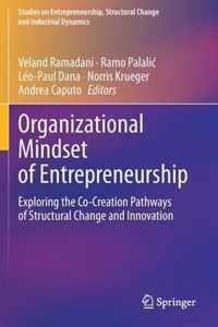 Organizational Mindset of Entrepreneurship