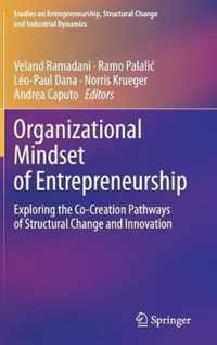 Organizational Mindset of Entrepreneurship