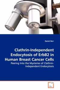 Clathrin-Independent Endocytosis of ErbB2 in Human Breast Cancer Cells