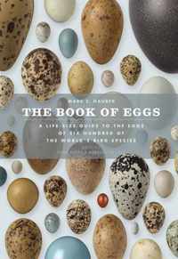 The Book of Eggs