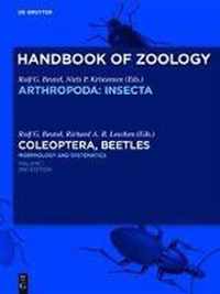 Coleoptera, Beetles. Morphology and Systematics