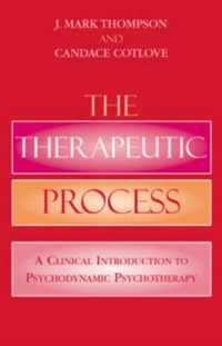 The Therapeutic Process