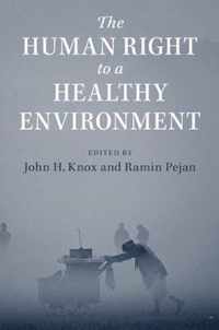 The Human Right to a Healthy Environment