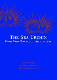 The Sea Urchin