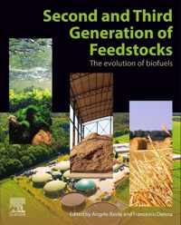 Second and Third Generation of Feedstocks
