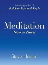 Meditation Now or Never