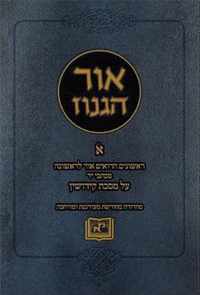 Or Haganuz on Tractate Kiddushin, Volume 1