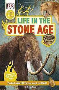 Life In The Stone Age