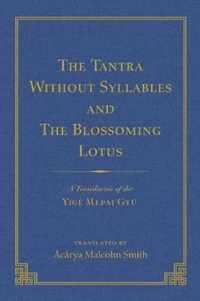 The Tantra Without Syllables (Vol 3) and the Blazing Lamp Tantra (Vol 4): A Translation of the Yig Mepai Gyu (Vol. 3) a Translation of the Drnma Bar
