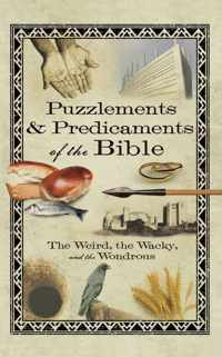 Puzzlements & Predicaments of the Bible