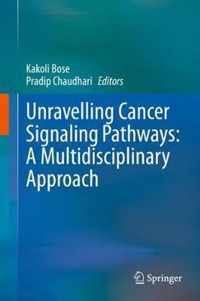 Unravelling Cancer Signaling Pathways A Multidisciplinary Approach