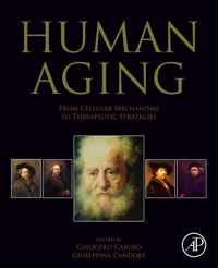 Human Aging