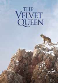 The Velvet Queen