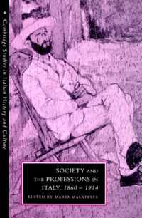 Society And The Professions In Italy, 1860-1914