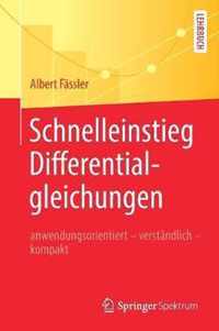 Schnelleinstieg Differentialgleichungen