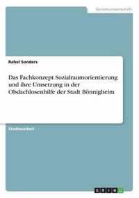 Das Fachkonzept Sozialraumorientierung und ihre Umsetzung in der Obdachlosenhilfe der Stadt Boennigheim