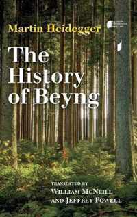 The History of Beyng