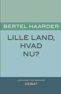 Lille land, hvad nu?