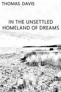 In the Unsettled Homeland of Dreams