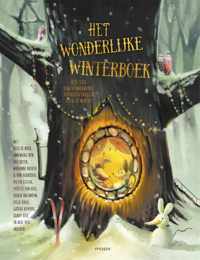 Het wonderlijke winterboek - Annemarie Bon - Hardcover (9789048849314)