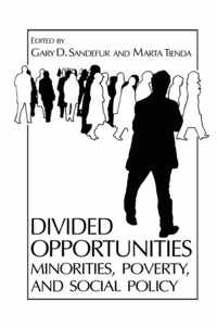 Divided Opportunities