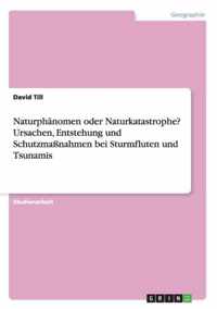 Naturphanomen oder Naturkatastrophe? Ursachen, Entstehung und Schutzmassnahmen bei Sturmfluten und Tsunamis