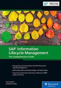 SAP Information Lifecycle Management