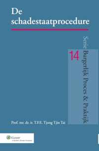 Burgerlijk Proces en Praktijk De schadestaatprocedure - T.E.E. Tjong Tjin Tai - Paperback (9789013111682)