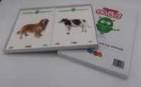 Take it easy Woordkaarten Groep 1-2 - Me and my animals - Pakket (9789006210323)