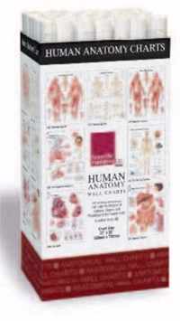 Human Anatomy Charts -- 48 Chart Merchandiser